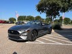 2023 Ford Mustang EcoBoost thumbnail image 19