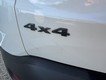 2023 Jeep Renegade Altitude thumbnail image 09