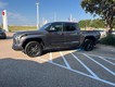 2022 Toyota Tundra 4WD 4WD Platinum CrewMax thumbnail image 02