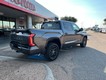 2022 Toyota Tundra 4WD 4WD Platinum CrewMax thumbnail image 05