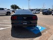 2020 Ford Mustang EcoBoost thumbnail image 04