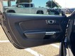 2020 Ford Mustang EcoBoost thumbnail image 10