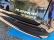 2024 Toyota Sienna Platinum thumbnail image 09