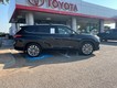 2023 Toyota Highlander Platinum thumbnail image 06