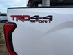 2023 Toyota Tundra 4WD 4WD SR5 CrewMax thumbnail image 10