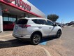 2018 Toyota RAV4 Platinum thumbnail image 05
