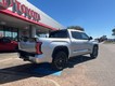 2024 Toyota Tundra 2WD Platinum thumbnail image 05