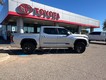 2024 Toyota Tundra 2WD Platinum thumbnail image 06