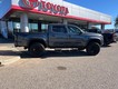 2020 Toyota Tacoma 4WD 4WD TRD Off Road Double Cab thumbnail image 06