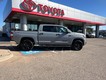 2019 Toyota Tundra 4WD 4WD SR5 CrewMax thumbnail image 06