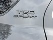 2025 Toyota 4Runner TRD Sport Premium thumbnail image 09
