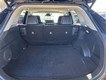 2023 Toyota RAV4 XLE Premium thumbnail image 10