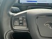 2021 Ford Mustang Mach-E GT thumbnail image 20