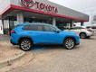 2020 Toyota RAV4 XLE Premium thumbnail image 06