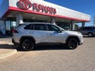 2024 Toyota RAV4 LE thumbnail image 06