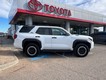 2025 Toyota 4Runner Hybrid Trailhunter thumbnail image 06