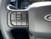 2023 Ford F-150 2WD XL SuperCrew thumbnail image 18