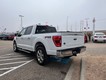 2023 Ford F-150 4WD XLT SuperCrew thumbnail image 03