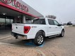 2023 Ford F-150 4WD XLT SuperCrew thumbnail image 05