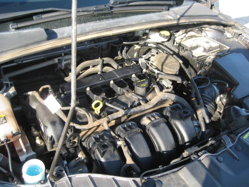 Ford Focus Vehicle Image 13