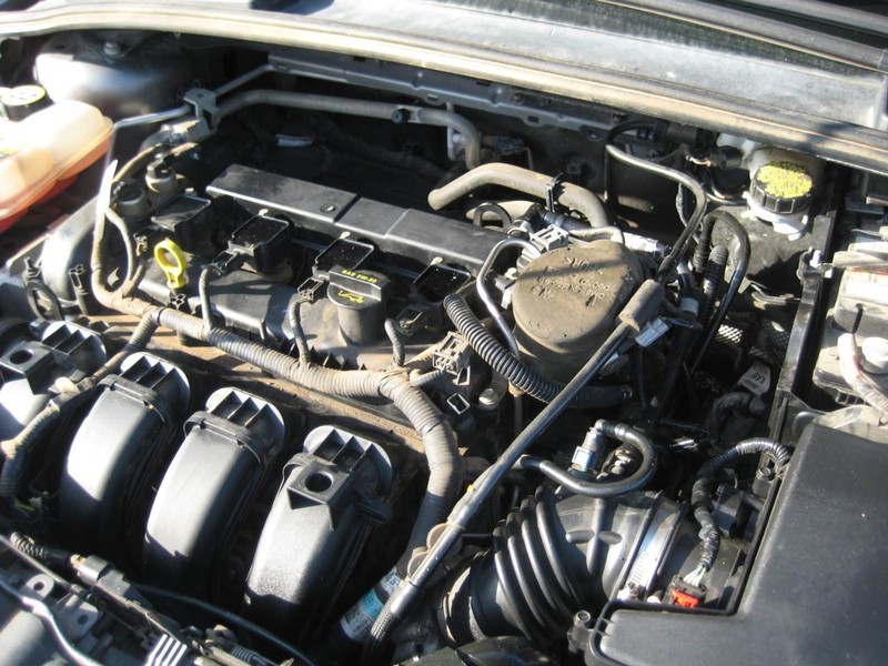 Ford Focus Vehicle Image 15