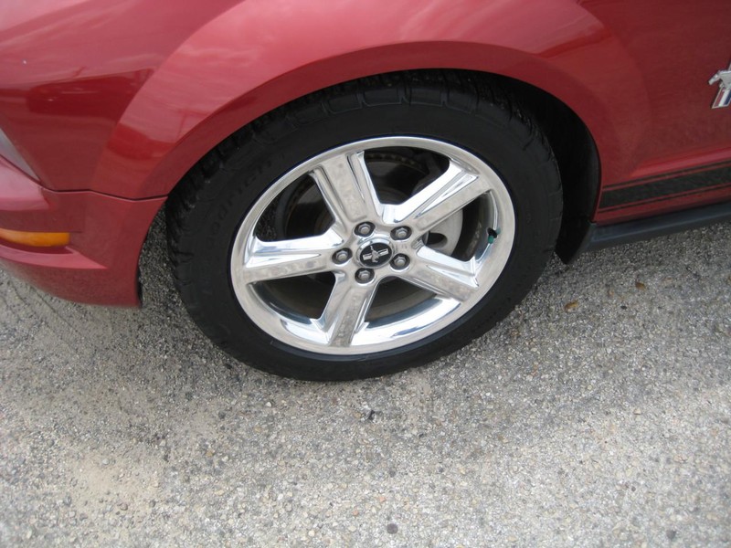 Ford Mustang Vehicle Image 08
