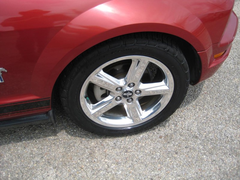 Ford Mustang Vehicle Image 11