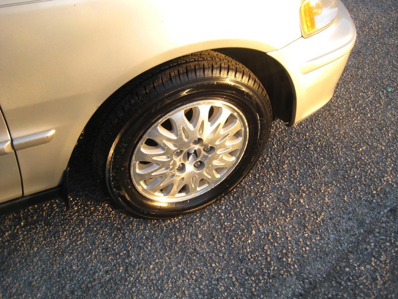 Honda Odyssey Vehicle Image 11