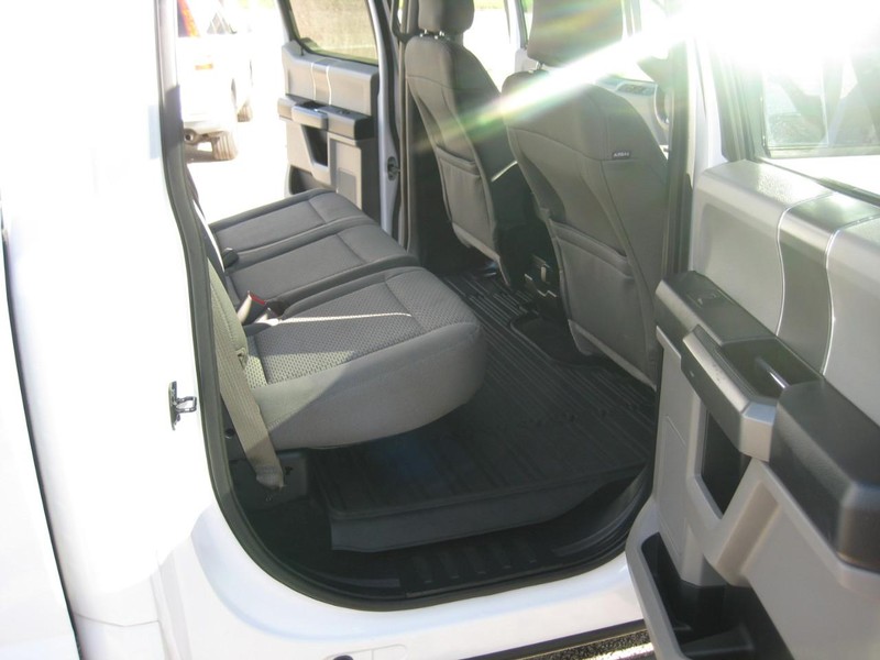 Ford F-150 Vehicle Image 12