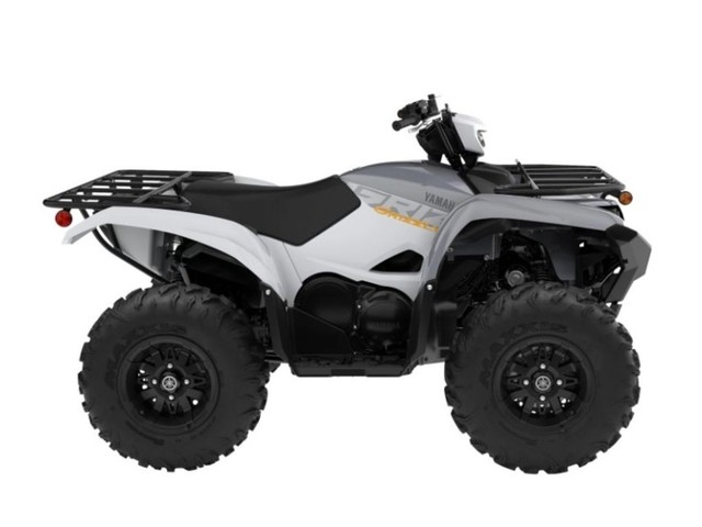 more details - yamaha grizzly eps
