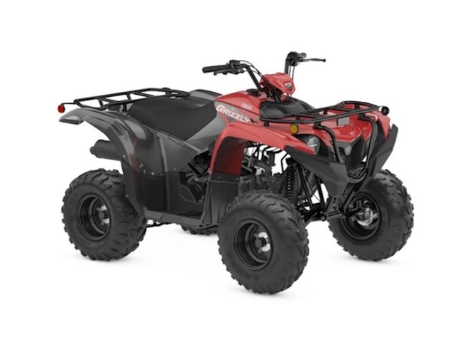 more details - yamaha grizzly 110