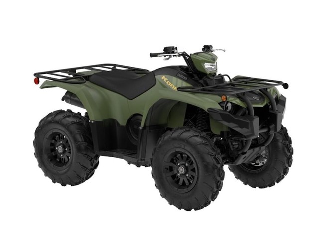 more details - yamaha kodiak 450 eps