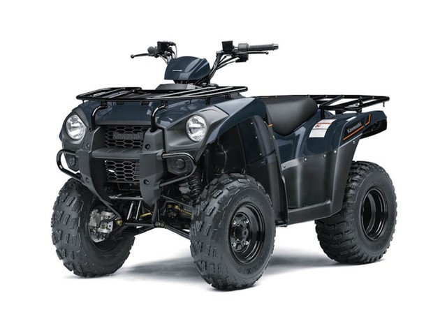 more details - kawasaki brute force® 300