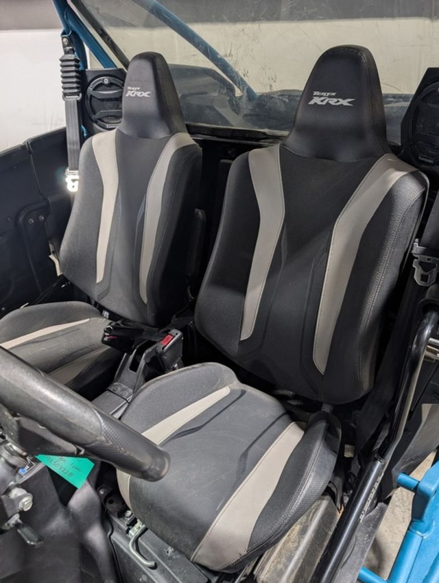 Kawasaki Teryx KRX® 1000 Trail Edition Vehicle Image 04