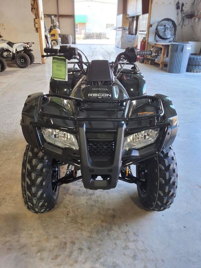 Honda FourTrax Recon ES Vehicle Image 02