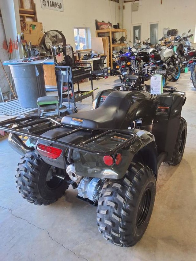 Honda FourTrax Recon ES Vehicle Image 03
