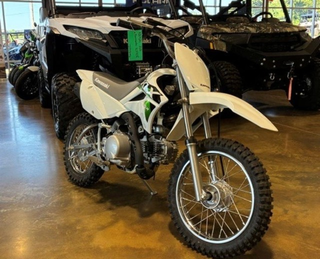 Kawasaki KLX®110R Vehicle Image 04