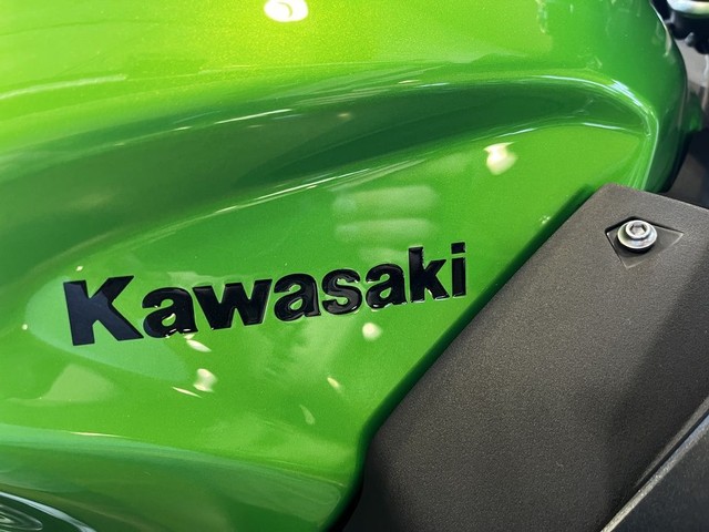 Kawasaki Z500 ABS Vehicle Image 03