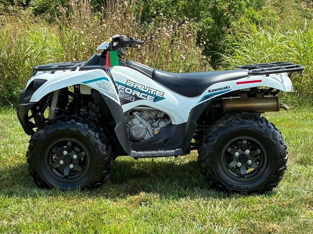 Kawasaki Brute Force® 750 4x4i EPS Vehicle Image 06