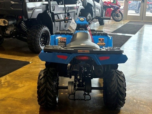 Polaris Sportsman 110 Vehicle Image 02