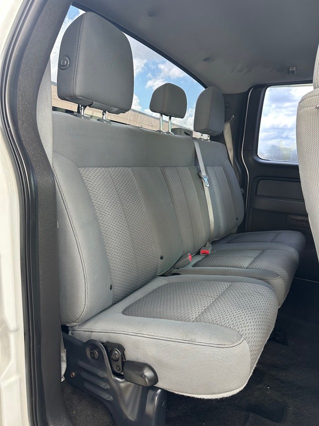 Ford F-150 Vehicle Full-screen Gallery Image 15