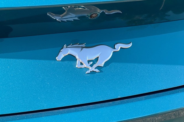 Ford Mustang Vehicle Full-screen Gallery Image 29