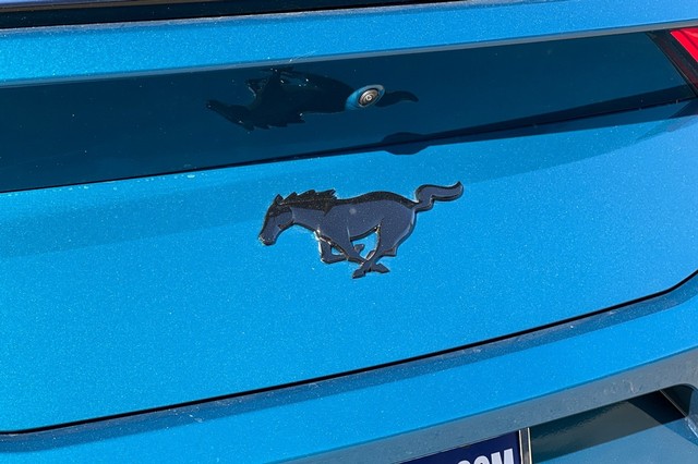 Ford Mustang Vehicle Full-screen Gallery Image 29