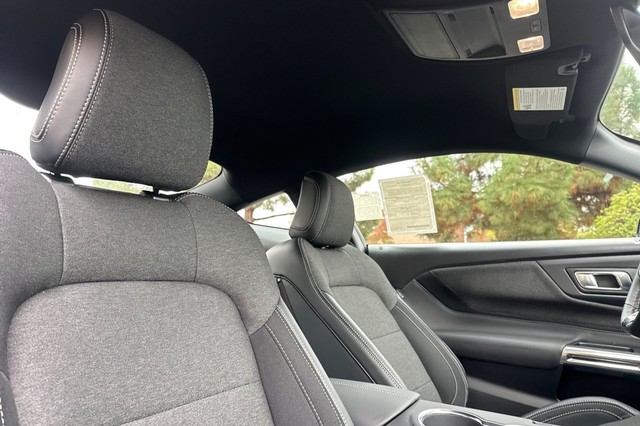 Ford Mustang Vehicle Full-screen Gallery Image 17