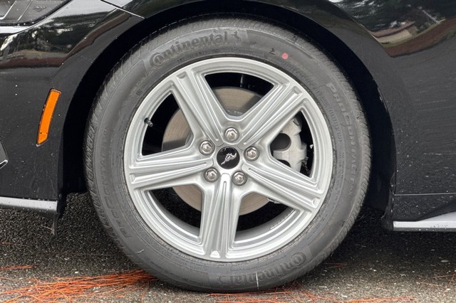 Ford Mustang Vehicle Full-screen Gallery Image 29