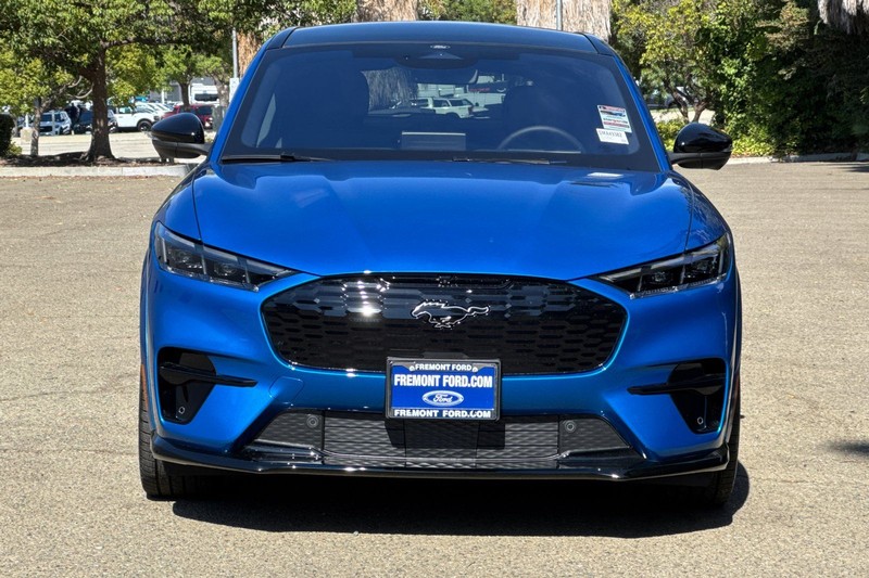 Ford Mustang Mach-E Vehicle Full-screen Gallery Image 08