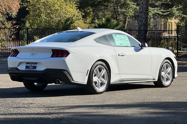 Ford Mustang Vehicle Full-screen Gallery Image 03