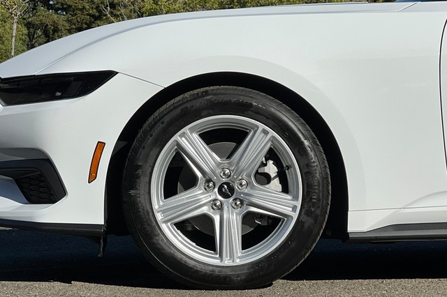 Ford Mustang Vehicle Full-screen Gallery Image 28