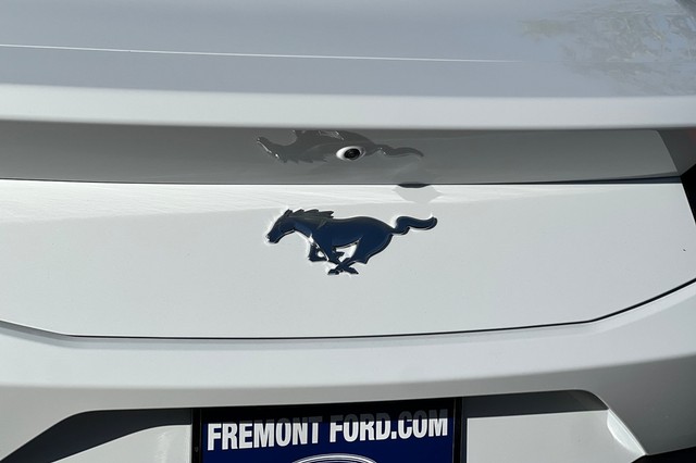 Ford Mustang Vehicle Full-screen Gallery Image 29