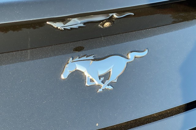 Ford Mustang Vehicle Full-screen Gallery Image 29